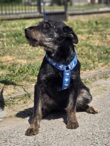 ❤ Roby Pflegefamilie Erkelenz