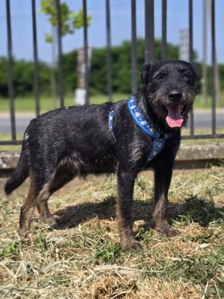 ❤ Roby Pflegefamilie Erkelenz