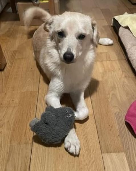 Amali ist einfach nur bezaubernd + lieb!