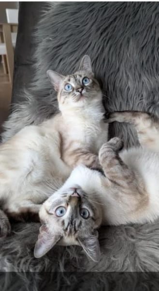 Mira & Marlene - einfach nur süüüß!