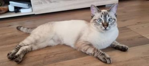 Mira & Marlene - einfach nur süüüß!