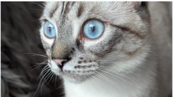 Mira & Marlene - einfach nur süüüß!