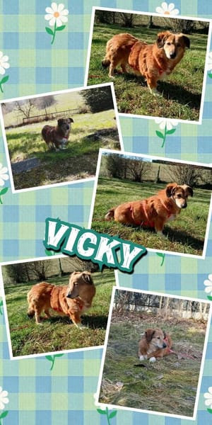 kleine süße Vicky auf PS in 90562