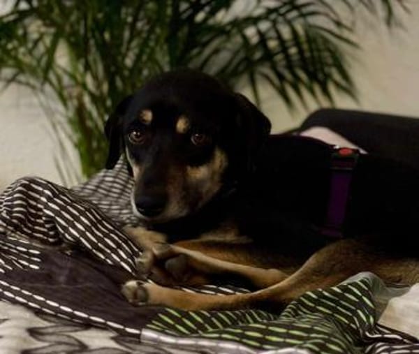 Elke - eine sensible Begleiterin