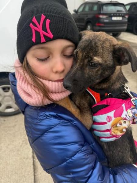 Welpe Wisey möchte die Welt entdecken!