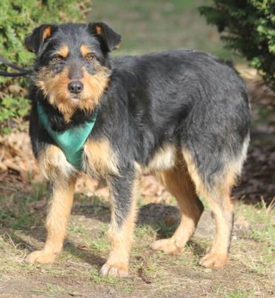 Joschi 43cm geb. 09/25 wartet in Müden