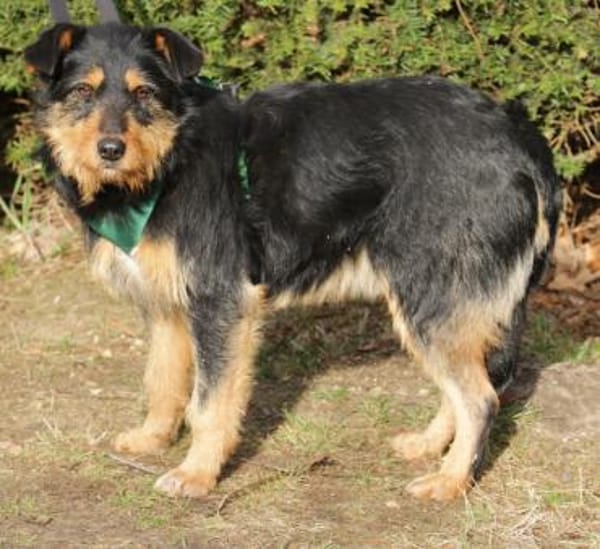 Joschi 43cm geb. 09/25 wartet in Müden