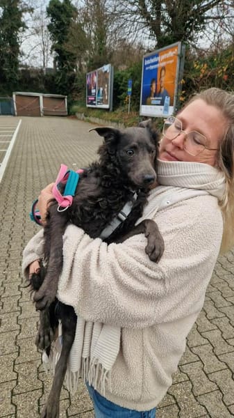 Schöne Szari in 59071 Hamm