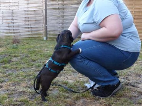 Möchten Sie Pius ein Zuhause geben?