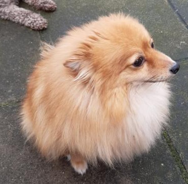 Kessy in 27478 Cuxhaven #