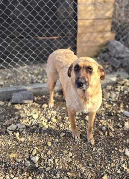 Wieka - Mama und Kämpferin sucht Dich