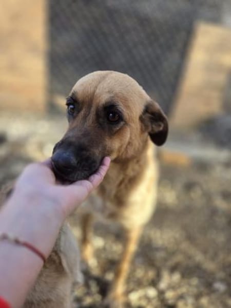 Wieka - Mama und Kämpferin sucht Dich