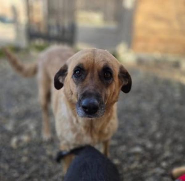 Wieka - Mama und Kämpferin sucht Dich