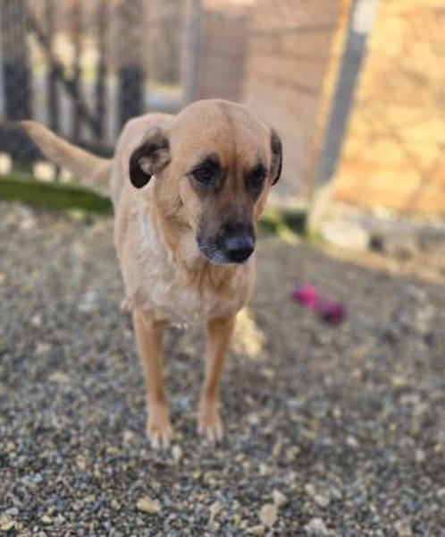 Wieka - Mama und Kämpferin sucht Dich