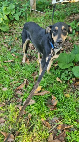 LINA 💛💛💛 sanft und liebenswert