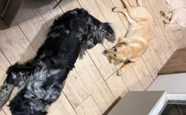 kleine Sonne Sinje sucht das Licht