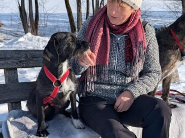 Schenken Sie Axa ihr Traumzuhause?