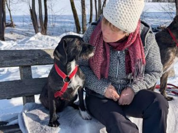 Schenken Sie Axa ihr Traumzuhause?