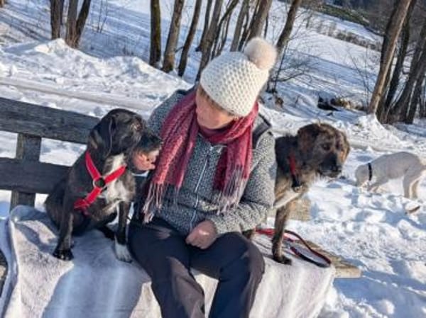 Schenken Sie Axa ihr Traumzuhause?