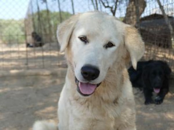 Alex sucht liebe Menschen