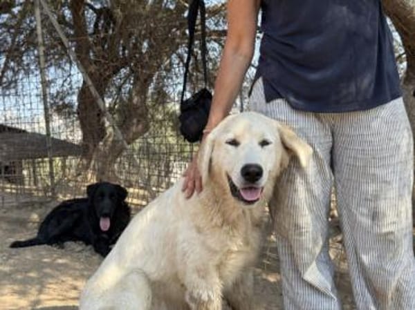 Alex sucht liebe Menschen