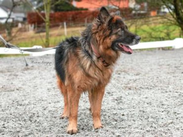 Ayo sucht aktive Menschen