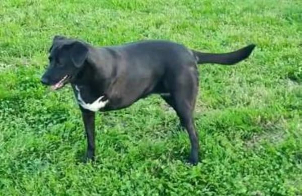 Verliebst du dich in Rajani?