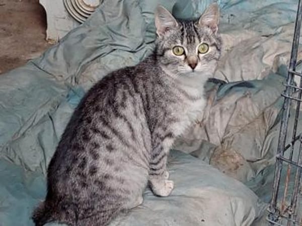 Buffa möchte endlich ankommen