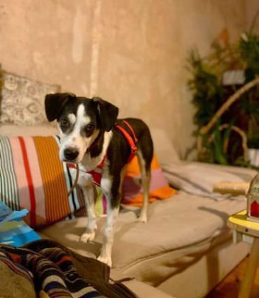 Skadi: offen, menschenbezogen + so lieb!