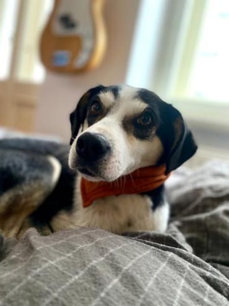 Skadi: offen, menschenbezogen + so lieb!