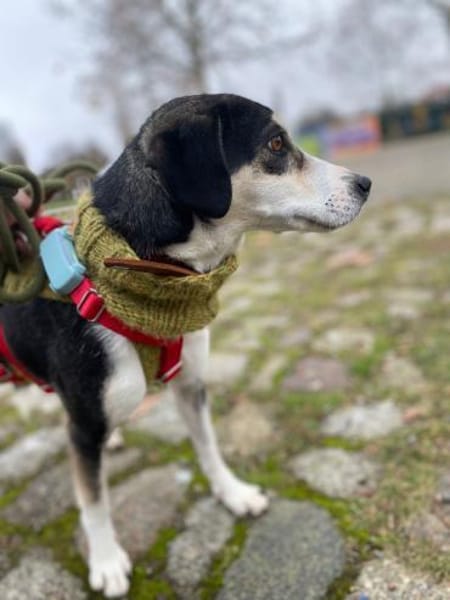 Skadi: offen, menschenbezogen + so lieb!