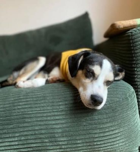 Skadi: offen, menschenbezogen + so lieb!