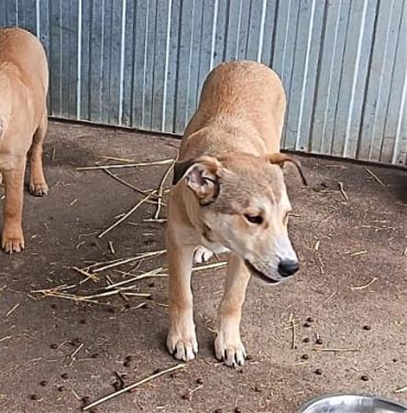 Aron möchte so gerne eine eigene Familie