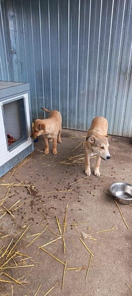 Aron möchte so gerne eine eigene Familie