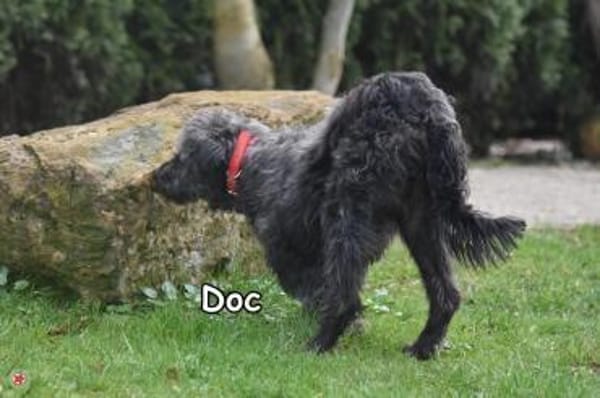 Doc