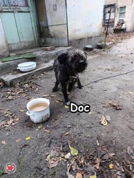 Doc