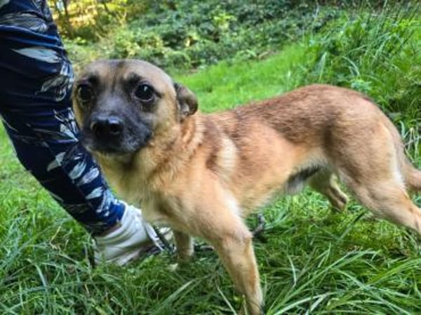 Kleiner Marlo möchte ankommen