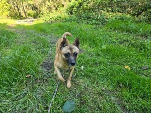 Kleiner Marlo möchte ankommen