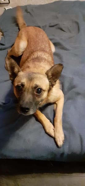 Kleiner Marlo möchte ankommen