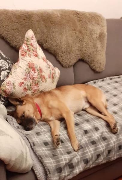 Kleiner Marlo möchte ankommen