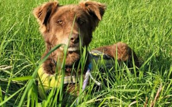 Gibst du Hermine eine zweite Chance?