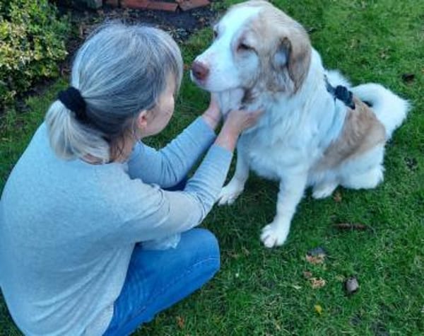 Wird Isamu dein Freund fürs Leben?