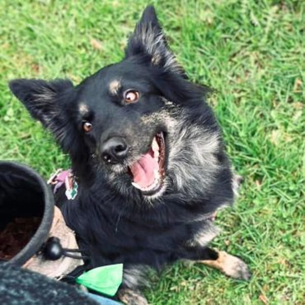 Samira - freundlich&menschenbezogen