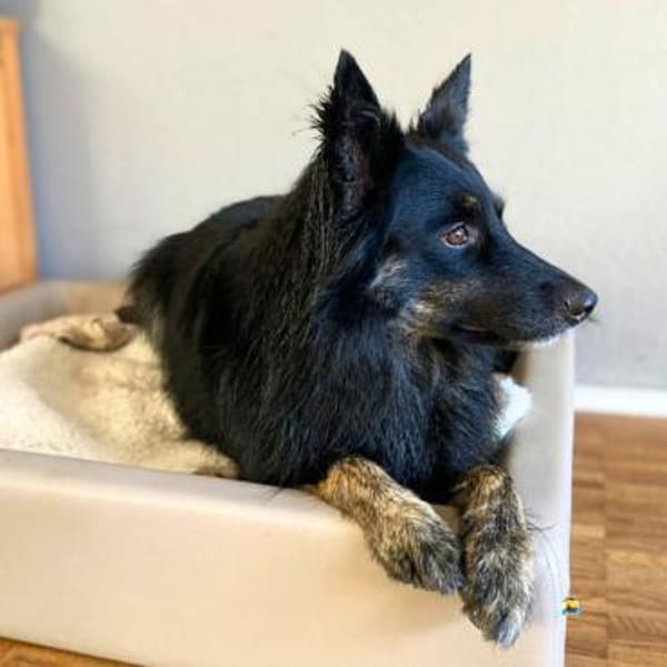 Samira - freundlich&menschenbezogen