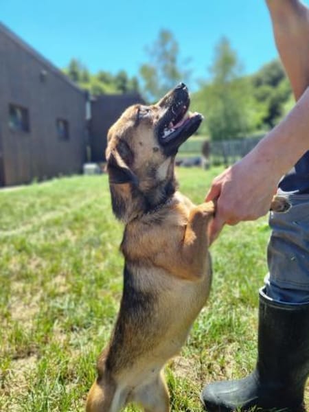 Kleiner Körper, rießen Herz- Mini