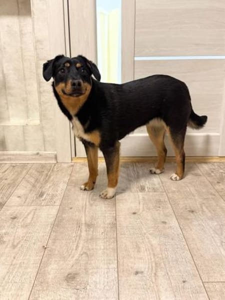 Lernen Sie Boma kennen!