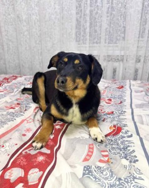 Lernen Sie Boma kennen!