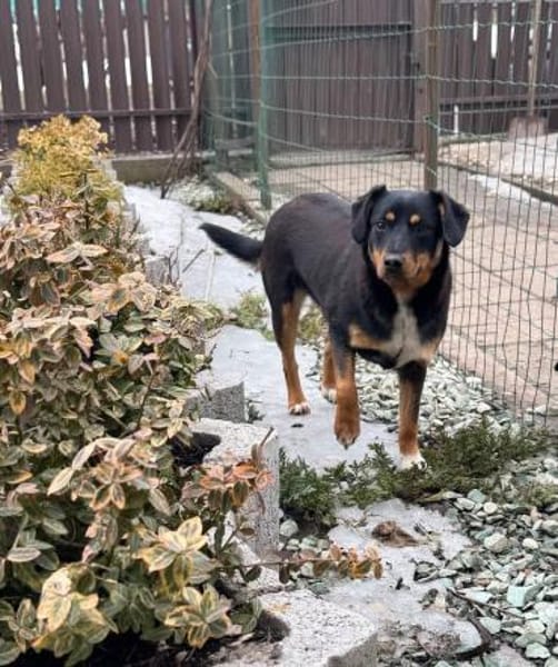 Lernen Sie Boma kennen!