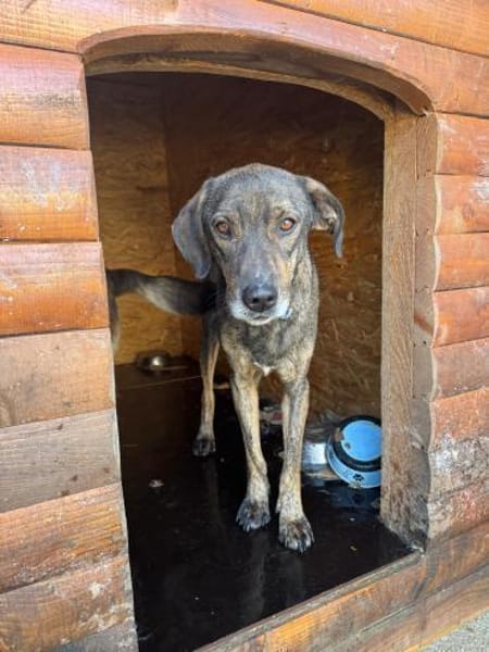 Sanfte Nela-Greta sucht Liebe