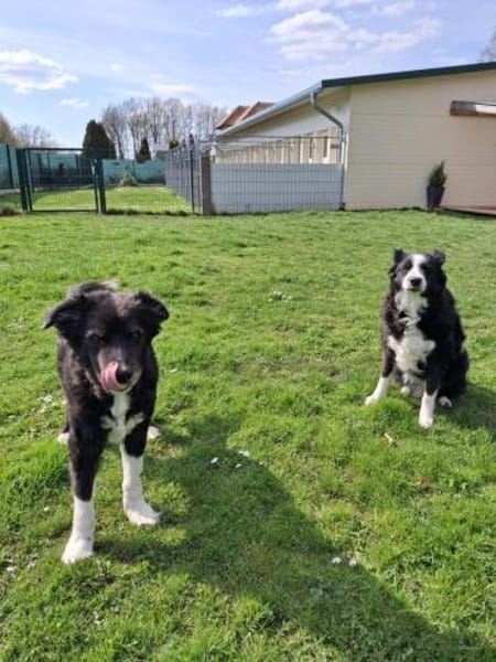 BILLI&GRACE - fit, gepflegt, gut erzogen